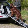 Hond loopt over de telescoop loopplank de kofferbak in