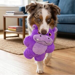 Hond speelt met de KONG Snuzzles XL hippo hondenknuffel in zijn bek
