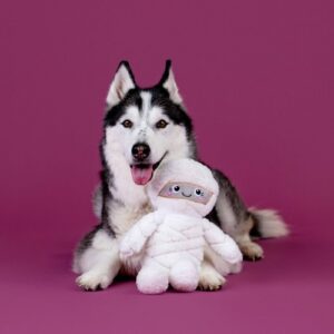 Husky speelt met mummieknuffel hondenspeelgoed