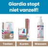 Giardia aanpakken in drie stappen: testen, kuren en wassen met de Diacur shampoo