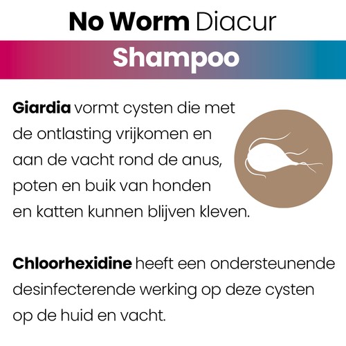 Uitleg over Giardia-cysten in de vacht en de werking van chloorhexidine