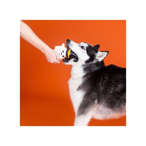 Hond speelt en bijt in het One Wicked Ghost hondenspeeltje