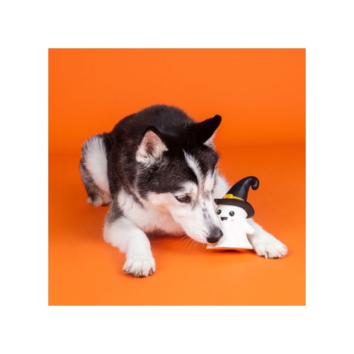 Husky snuffelt aan halloween hondenspeelgoed spookje met heksenhoed
