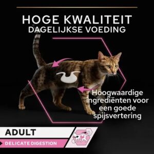 Uitleg bij Pro Plan Delicate Digestion over hoogwaardige ingrediënten voor een goede spijsvertering bij katten