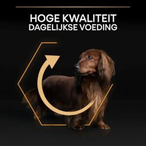 Pro Plan hondenbrokken, hoge kwaliteit dagelijkse voeding voor honden, verkrijgbaar bij Zeeuwse Pootjes in Hulst