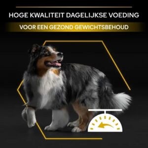 Hond bij Pro Plan hondenvoer, hoge kwaliteit voeding voor gezond gewichtsbehoud