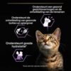 Kitten met uitleg over ondersteuning van gezichtsvermogen, botten en hydratatie