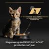 Kitten bij voerbak, wetenschappelijk ontwikkeld kittenvoer van Pro Plan