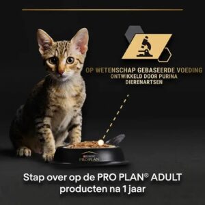 Kitten bij voerbak, wetenschappelijk ontwikkeld kittenvoer van Pro Plan