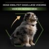 Puppy die profiteert van hoge kwaliteit puppyvoer voor een gezonde groei