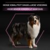 Pro Plan seniorvoer info: hoge kwaliteit dagelijkse voeding voor senior honden vanaf 7 jaar