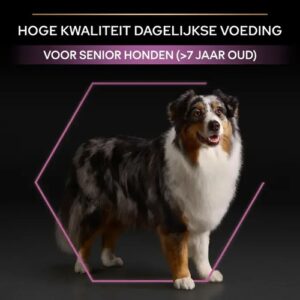 Pro Plan seniorvoer info: hoge kwaliteit dagelijkse voeding voor senior honden vanaf 7 jaar