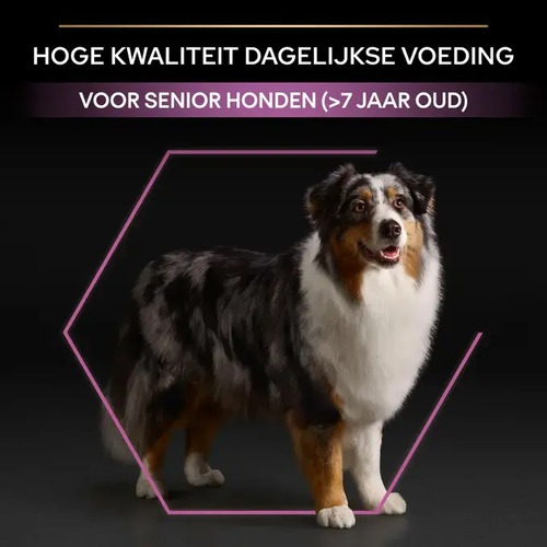 Pro Plan seniorvoer info: hoge kwaliteit dagelijkse voeding voor senior honden vanaf 7 jaar
