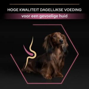 Pro Plan hondenbrokken, hoge kwaliteit dagelijkse voeding voor een gevoelige huid, verkrijgbaar bij Zeeuwse Pootjes in Hulst