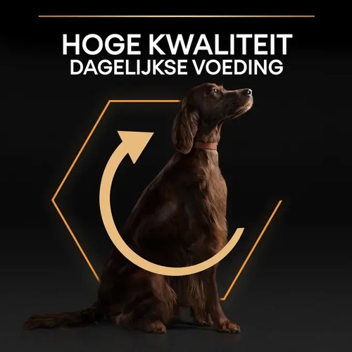 Pro Plan Large Athletic, hoge kwaliteit dagelijkse voeding voor grote honden