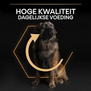 Grote hond met stevig postuur, hoge kwaliteit dagelijkse voeding van Pro Plan