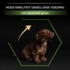 Puppy van een klein ras bij het Pro Plan logo voor gezonde groei, met colostrum in deze puppybrokjes
