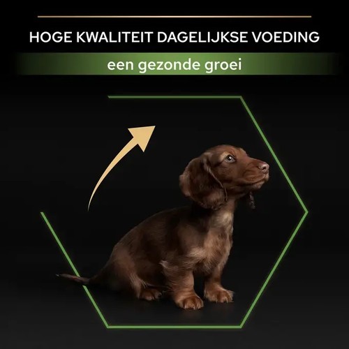 Puppy van een klein ras bij het Pro Plan logo voor gezonde groei, met colostrum in deze puppybrokjes