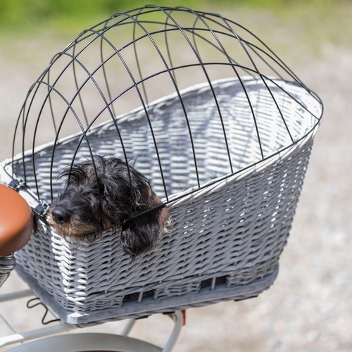 Kleine hond kijkt uit de rieten fietsmand op de bagagedrager