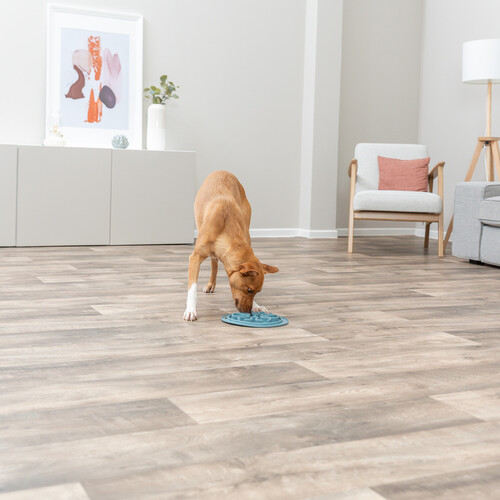 Hond eet geconcentreerd uit de voedermat in de woonkamer