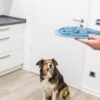 Baasje biedt de voedermat aan een hond aan