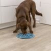 Puppy eet brokjes uit de voedermat
