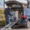 Hond zit in een bench in de auto met de loopplank tegen de laadrand