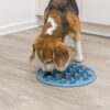 Beagle eet langzaam uit de voedermat Pillars in de keuken