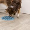 Hond zoekt brokjes tussen de pilaartjes van de voedermat Pillars
