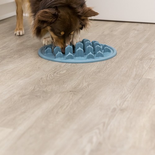 Hond eet rustig brokje voor brokje uit de voedermat Pillars