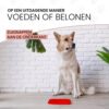 Hond zit naast een rode likmat op de vloer