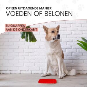 Hond zit naast een rode likmat op de vloer