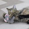 Cyperse kat stoeit met de grijze speelgoedmuis van KONG