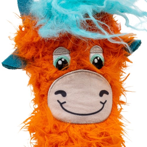 Close up van de oranje Kickeroo Highland Cow met pluizige vacht en blauwe kuif