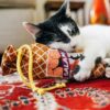 Zwart witte kat ligt met haar kop op de P.L.A.Y. Salami Slammer kicker