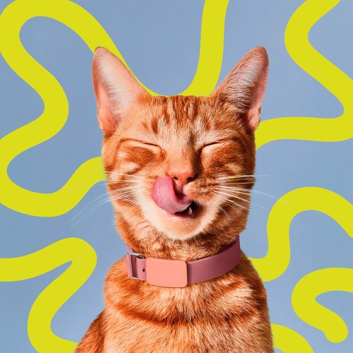 Rode kat likt tevreden zijn lippen na een romige kattensnack